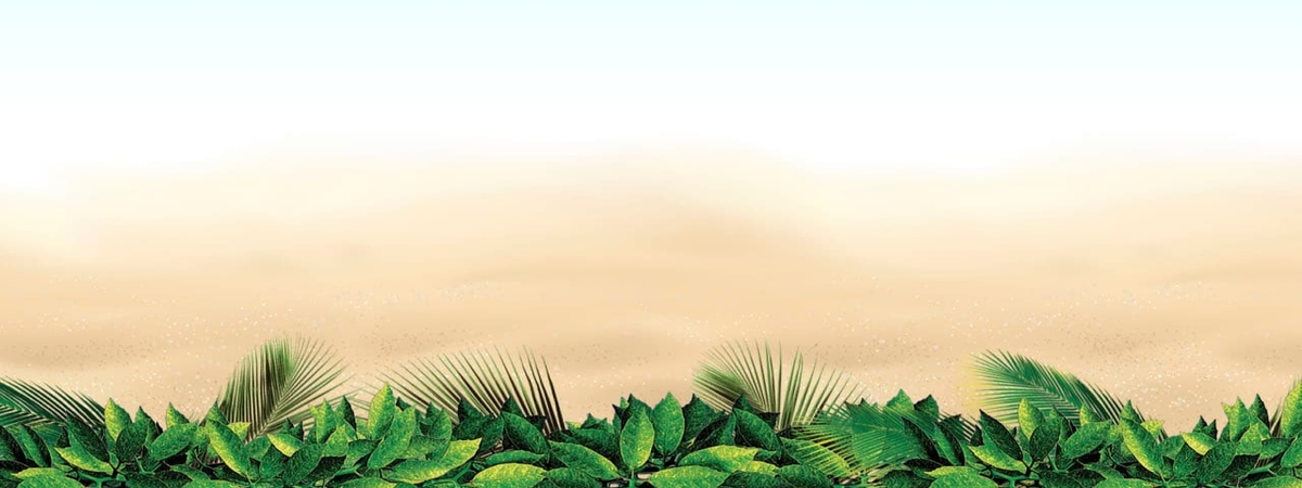 Imagem de uma praia ensolarada